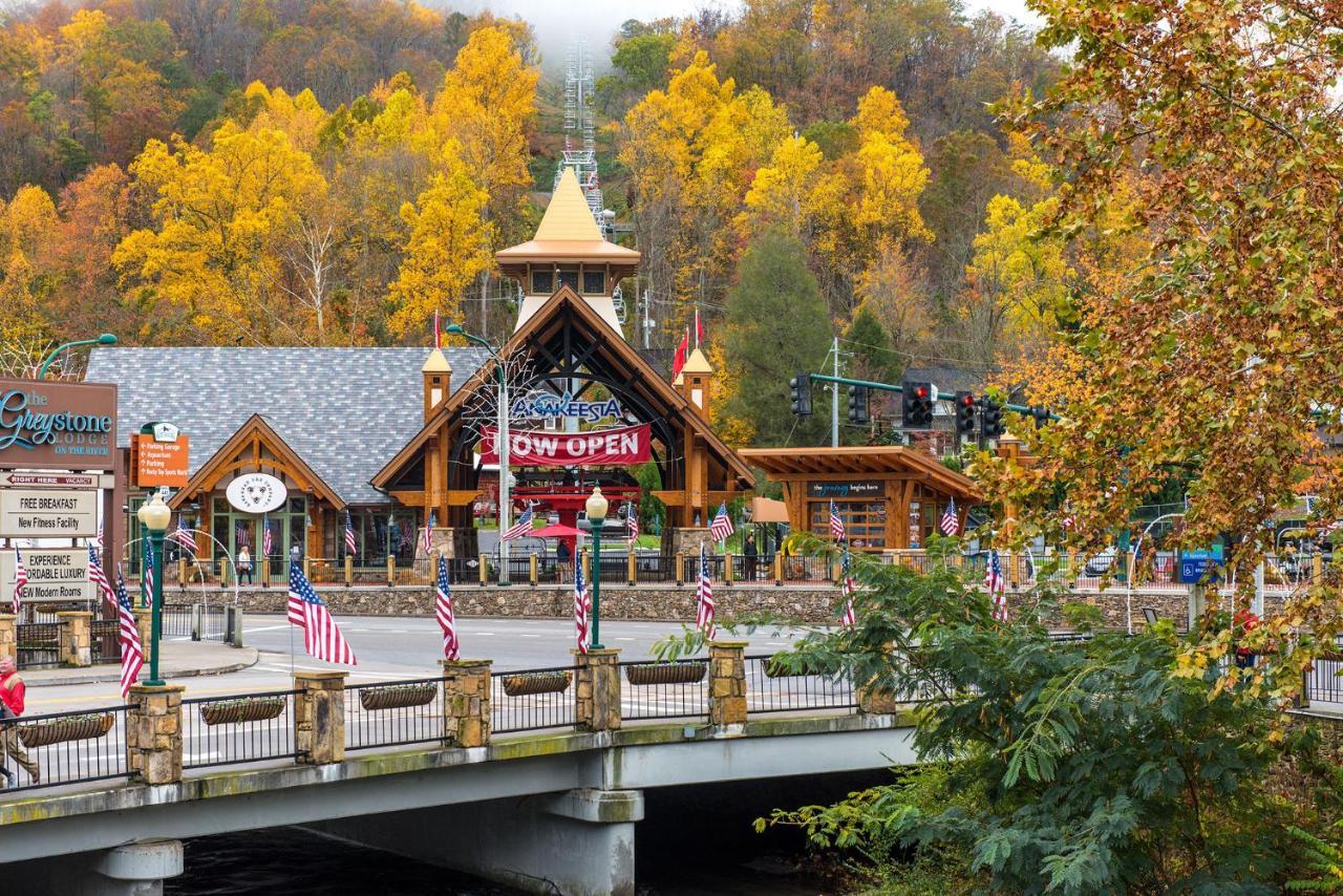 Lazy Cub Lodge Pigeon Forge Exteriör bild