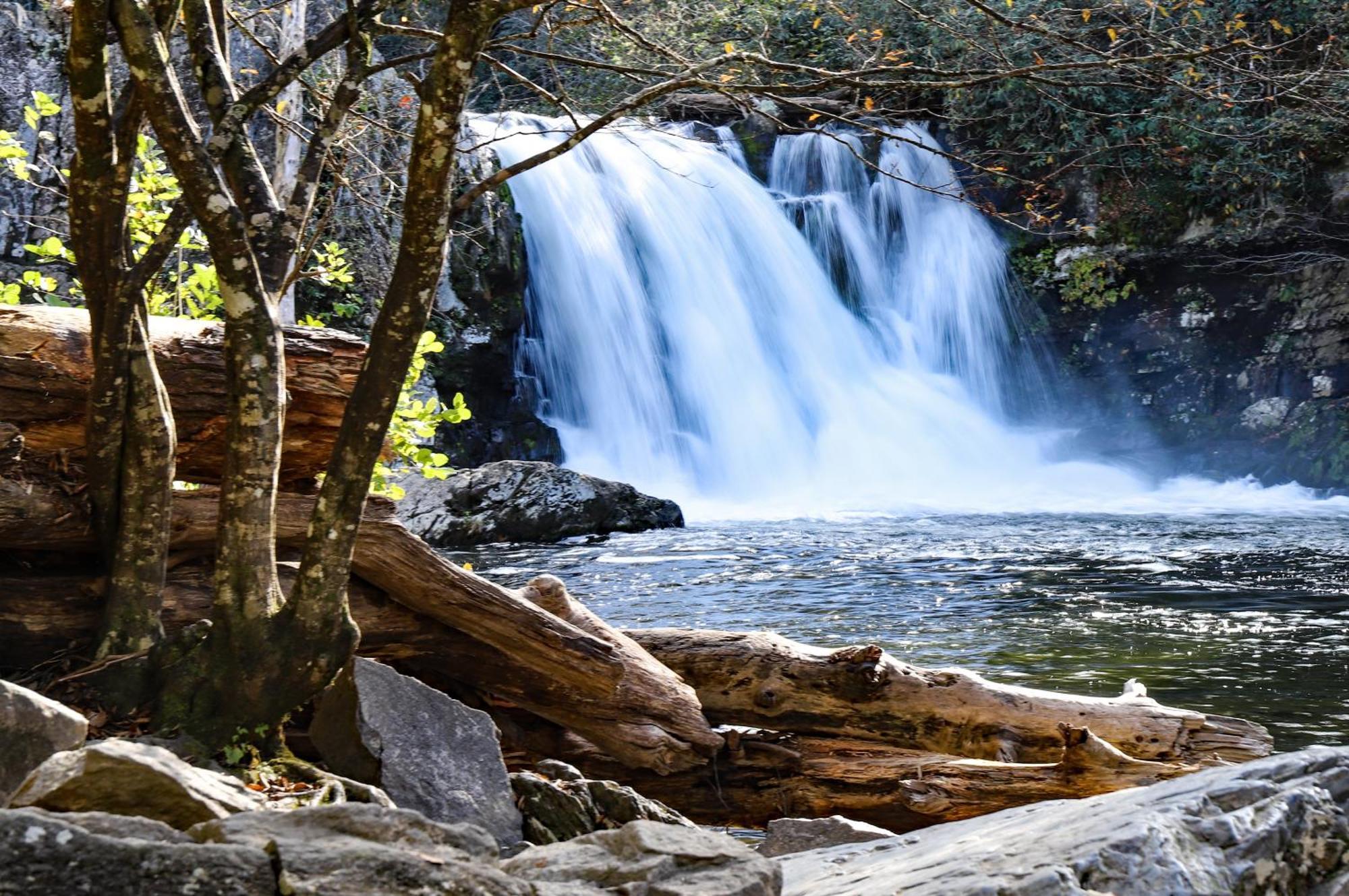 Lazy Cub Lodge Pigeon Forge Exteriör bild